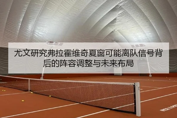 尤文研究弗拉霍维奇夏窗可能离队信号背后的阵容调整与未来布局